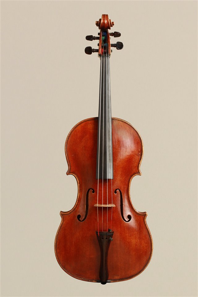 Tavola