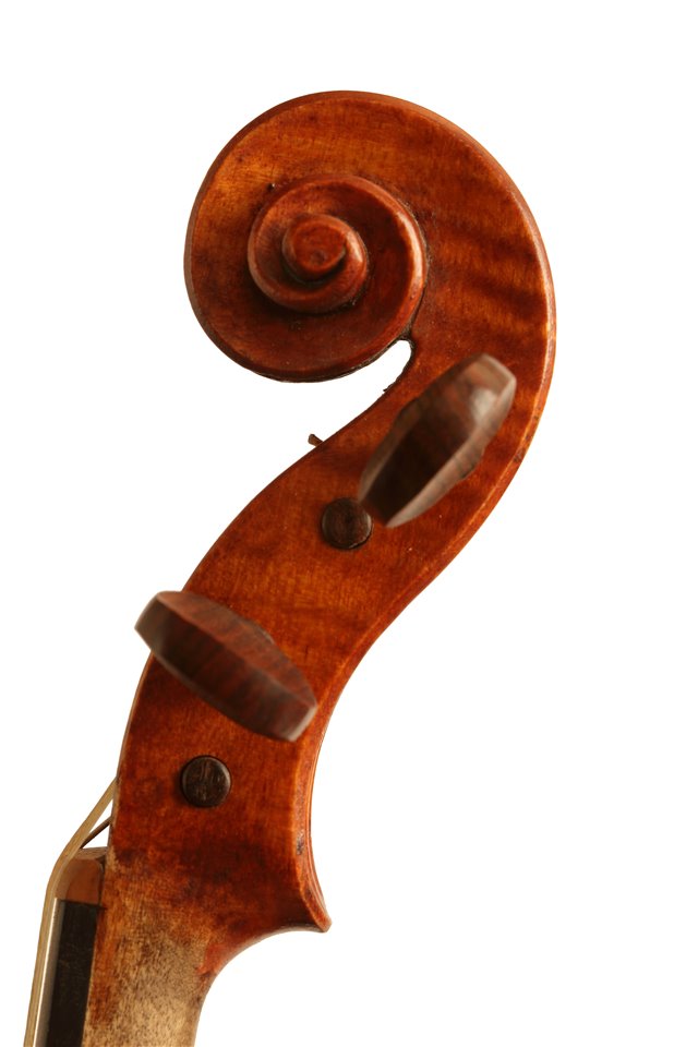 Volute