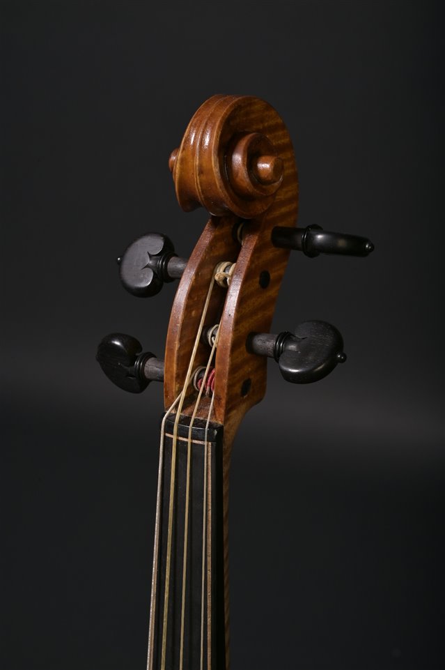 Volute