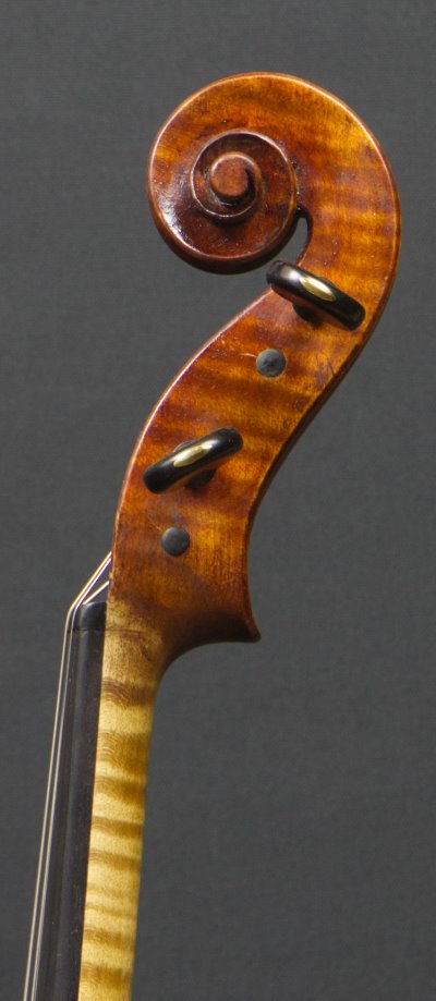 Volute
